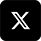 X icon